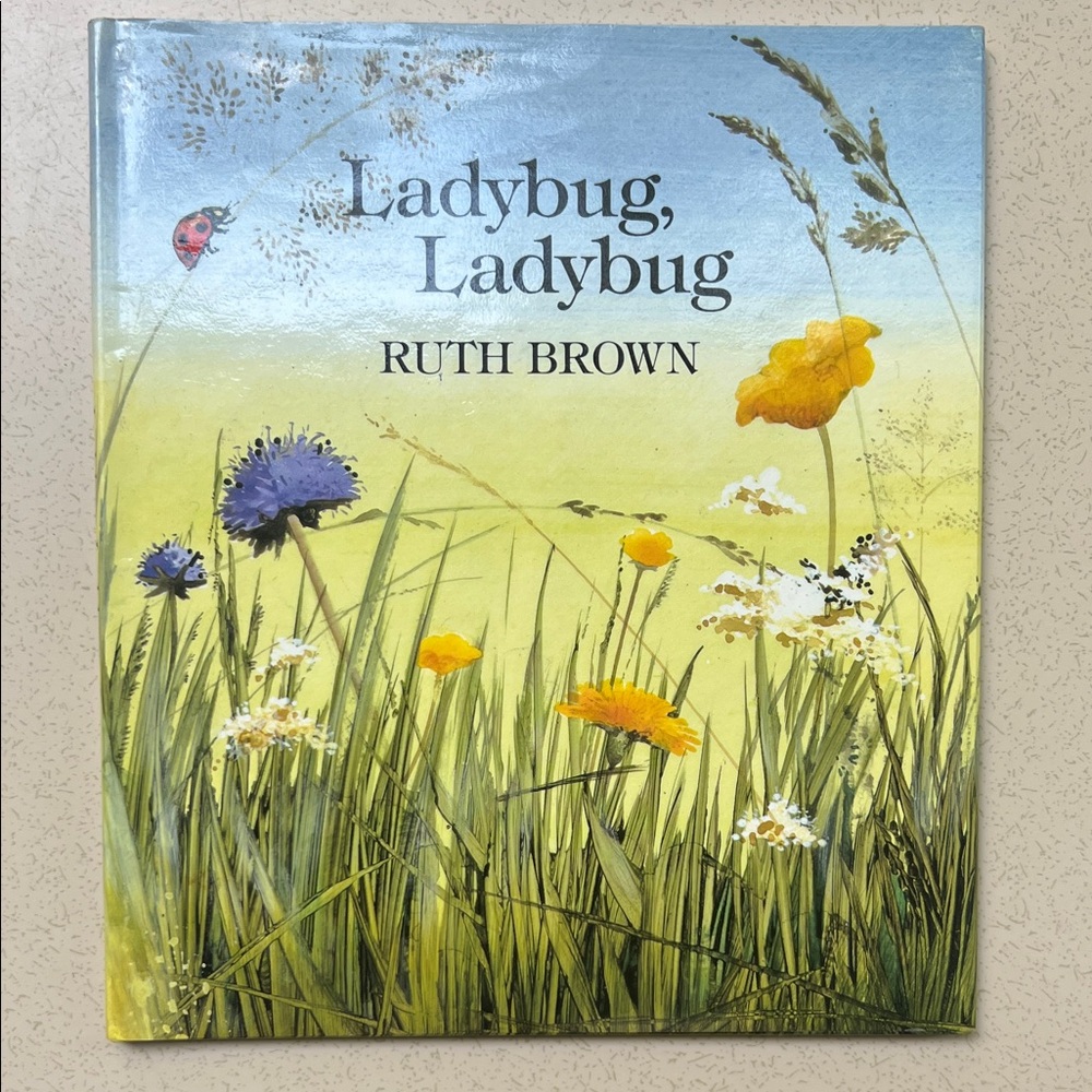 Children’s Book Ladybug, Ladybug by Ruth Brown
First American Edition c.1988